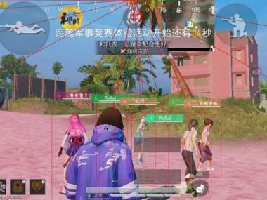 定制和平精英辅助多少钱（和平精英辅助器多少元）